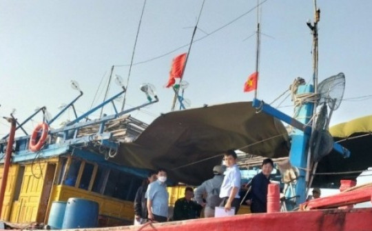 Bình Định: Ba cha con trên một tàu cá bị mất liên lạc với đất liền nhiều ngày