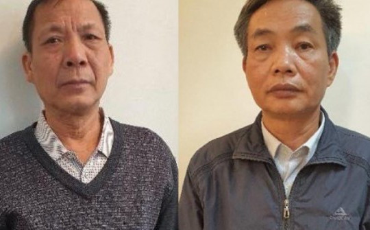 Bắt tạm giam cựu Tổng Giám đốc Tổng Công ty Chè Việt Nam