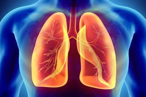 Tô tử giáng khí thang - Bài thuốc cổ 1.500 năm tuổi cho người bệnh phổi tắc nghẽn mạn tính