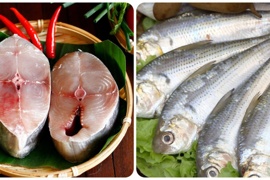 4 loại cá biển ngon nhất, giàu dinh dưỡng nên có trong thực đơn mỗi tuần