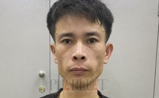 Bị truy nã bỏ trốn sang Malaysia, vừa về Việt Nam thì bị bắt