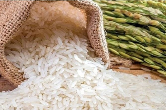 Xuất khẩu kỷ lục, Việt Nam cũng chi gần 900 triệu USD để nhập khẩu gạo