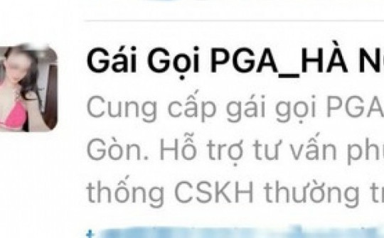 Lập nhóm "Gái gọi PGA Hà Nội-Sài Gòn" trên mạng xã hội để lừa đảo