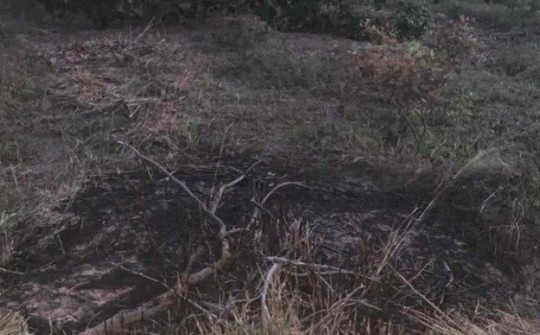 Dự đoán nguyên nhân mặt đất liên tục bốc cháy ở Đắk Lắk