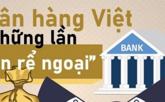 Infographic: Ngân hàng Việt và những lần “kén rể ngoại”