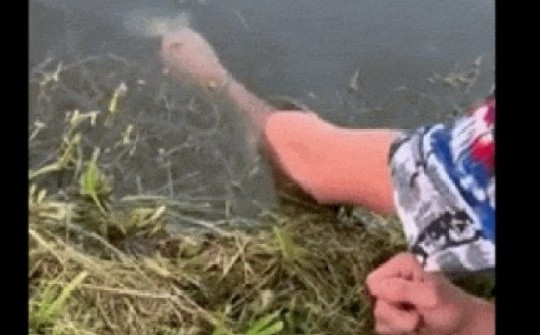 Video: Lạ lùng chàng trai câu cá bằng...tay không