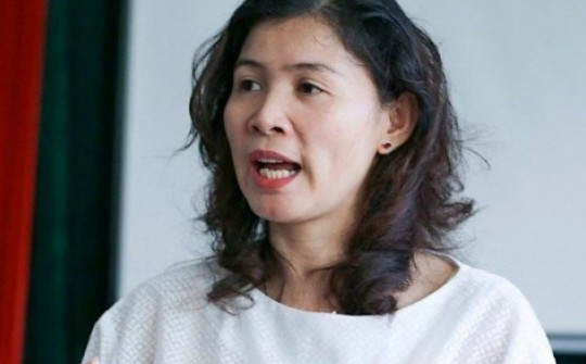 Bà Hàn Ni bị truy tố khung hình phạt 2-7 năm tù
