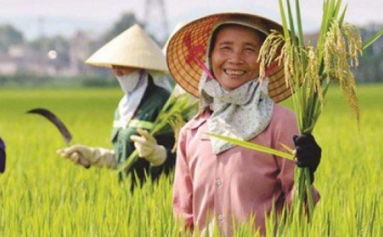 Quảng Bình bất ngờ xin rút khỏi danh sách đề nghị hỗ trợ gạo cứu đói