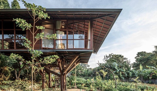 Ấn tượng ngôi nhà trên cây ở Bali