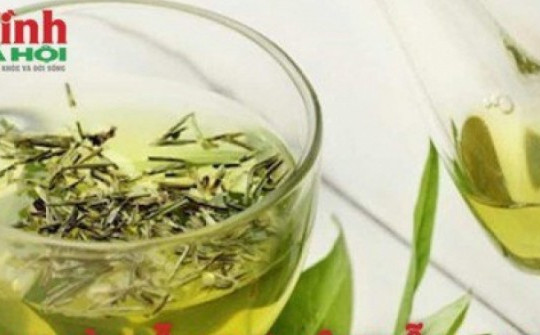 5 loại trà hỗ trợ hệ miễn dịch trong mùa lạnh hiệu quả