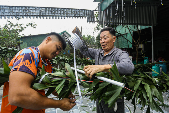 Bỏ túi tiền triệu mỗi ngày từ dịch vụ làm cây ‘trừ tà’