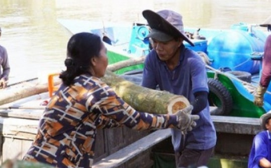 VIDEO: Những đôi tay không yếu đuối ở xóm hầm than củi