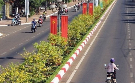 Con đường hoa mai với 1.000 cây, dài 5 km "độc nhất vô nhị" ở Việt Nam