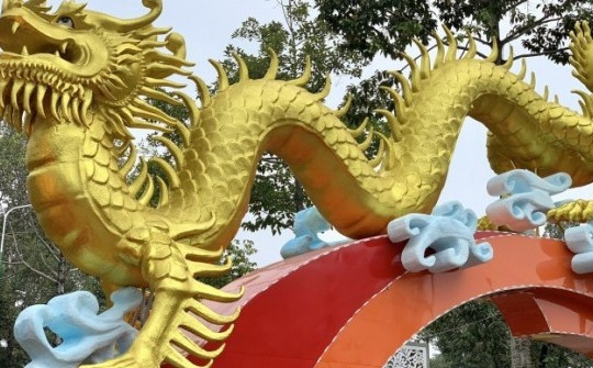 Đôi rồng vàng vừa lộ diện đã “hút” khách ở Bình Phước