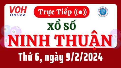 XSNT 9/2 - Kết quả xổ số Ninh Thuận hôm nay thứ 6 ngày 9/2/2024