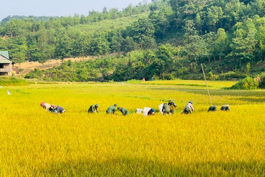 Xuân no ấm trên dải biên cương