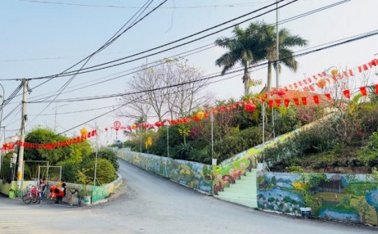 Triền đê “đẹp bậc nhất” làng quê Việt với bích họa dài hàng km, hoa cỏ khoe sắc ngày Tết