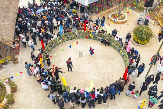 Sa Pa: Hàng nghìn lượt khách trẩy Hội Xuân Mở Cổng trời tại Fansipan