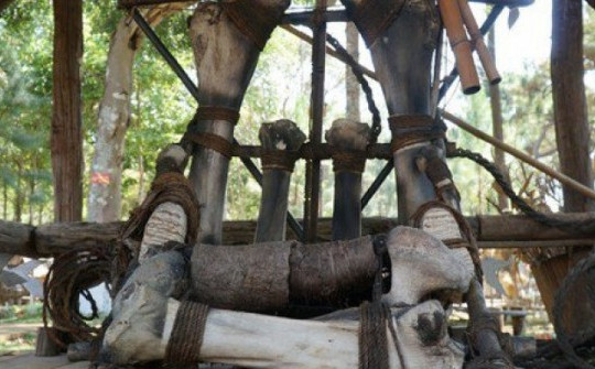 Ghế của "vua săn voi" độc nhất vô nhị tại Việt Nam