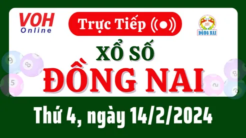 XSDN 14/2 - Kết quả xổ số Đồng Nai hôm nay thứ 4 ngày 14/2/2024