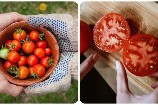 Điều gì sẽ xảy ra nếu bạn ăn một nửa quả cà chua mỗi ngày?