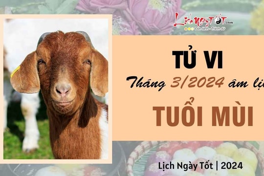 Tử vi tháng 3/2024 tuổi Mùi âm lịch: Cảm giác chông chênh, quên rằng mình may mắn tới mức nào