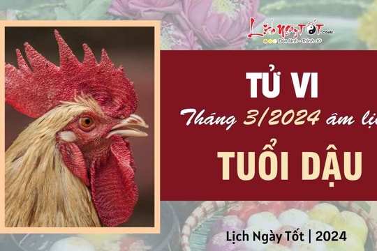 Tử vi tháng 3/2024 tuổi Dậu âm lịch: Ưu tiên chậm và chắc, nếu tham lam sẽ chỉ có bất lợi