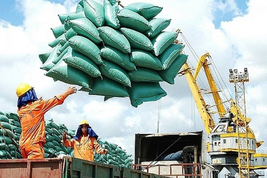 Một quốc gia bất ngờ chi tiền gấp 185 lần mua gạo Việt giá cao chót vót