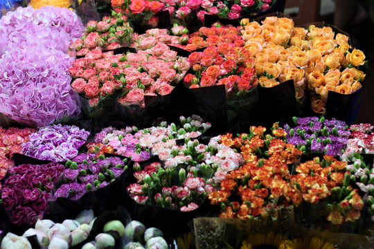Chợ hoa Quảng Bá ( Hà Nội) sẽ thành sản phẩm du lịch đêm