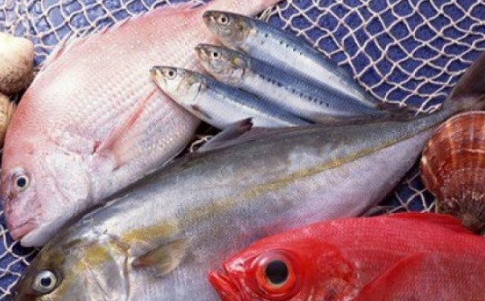 Những loại cá cực tốt cho sức khỏe, giúp chống cả ung thư
