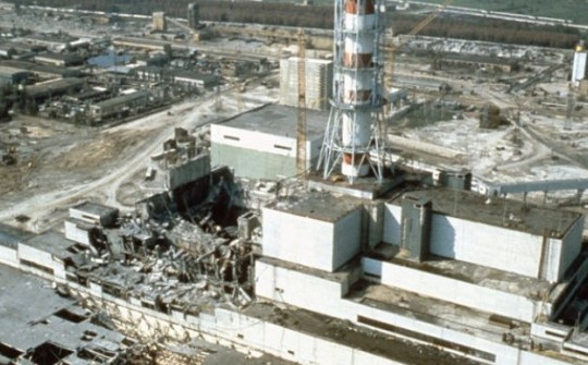 Phát hiện sinh vật sống ở khu thảm họa hạt nhân Chernobyl miễn nhiễm với phóng xạ