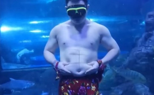 VIDEO: Hài hước màn biểu diễn của chàng tiên cá mũm mĩm giữa thủy cung