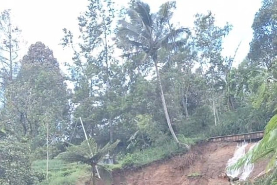 Sạt lở đất ở Bali, 2 du khách nước ngoài thiệt mạng