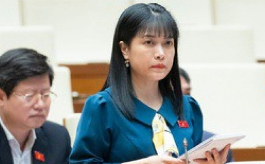 Đại biểu chất vấn Bộ trưởng Ngoại giao việc "ít nước miễn thị thực cho công dân Việt Nam"