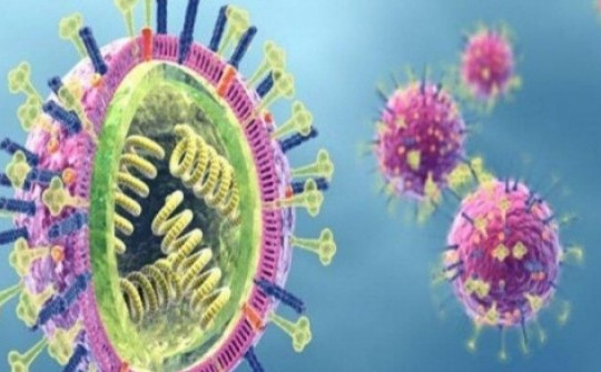 Bệnh nhân cúm A/H5 đầu tiên trong năm tử vong