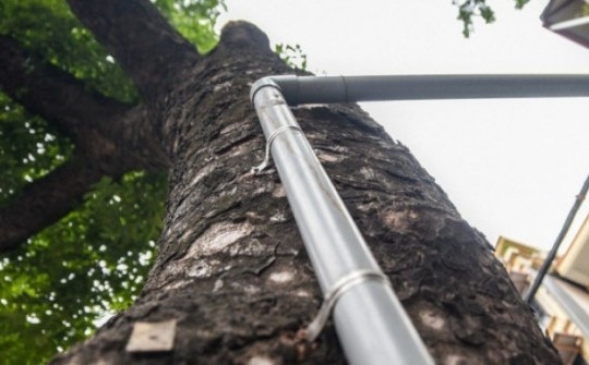 Hàng loạt cây xanh ở Hà Nội bị đóng đinh giăng đèn, treo bảng hiệu