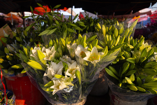 Hoa loa kèn đầu mùa xuống phố Hà Nội, giá chát vẫn hút khách mua