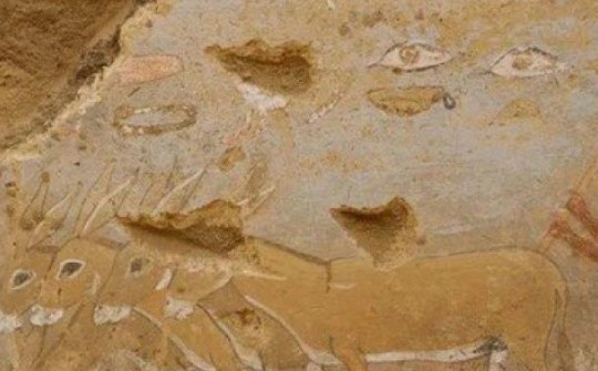 Bí ẩn mộ đôi "mê cung" 4.300 tuổi của nữ tư tế Ai Cập