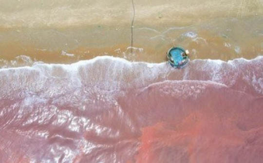 Nước biển ở Hà Tĩnh xuất hiện vệt đỏ lạ dài 3 km