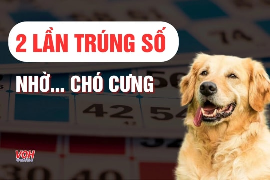 Hai lần trúng số nhờ… chó cưng