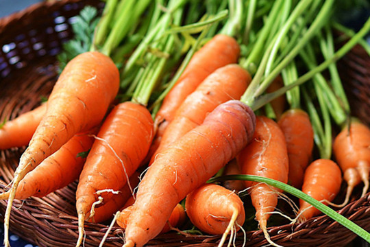 Lợi ích tuyệt vời của cà rốt với sức khỏe