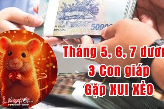 3 tháng giữa năm (5, 6, 7) dương lịch - 3 con giáp CHẠM ĐÁY xui xẻo, dễ ốm đau, mất TIỀN như chơi!
