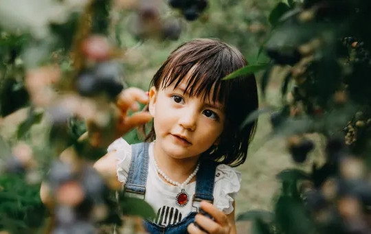 4 điều cha mẹ Nhật dạy con khác biệt với thế giới, khiến trẻ thích ăn uống và mê khám phá