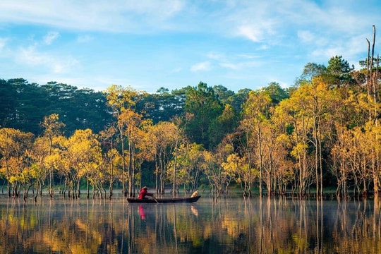 Suối Tía hồ Tuyền Lâm mùa lá vàng đẹp như tranh