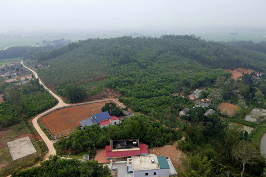 ‘Hồn cốt’ của làng ở Thanh Hoá bị đem đấu giá?