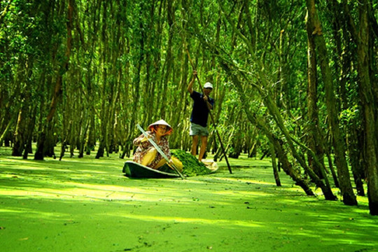 Khu rừng ở Việt Nam được thế giới xếp hạng quý hiếm