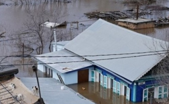 Thành phố Nga kéo còi báo động, di dân khẩn cấp vì lũ lụt