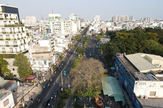 Đốn hạ hơn 400 cây xanh làm Metro Bến Thành - Tham Lương