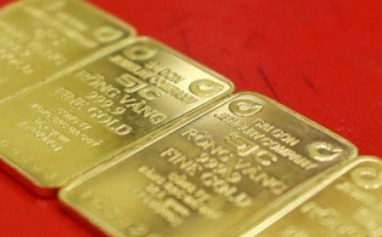 Nóng: Chi tiết đấu thầu gần 17.000 lượng vàng SJC