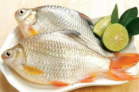Món ăn bài thuốc hỗ trợ chữa bệnh từ cá diếc